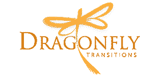 Dragonfly transition program young adults 1