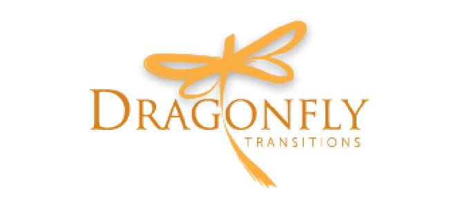 Embark Website Logo Dragonfly@2x 1