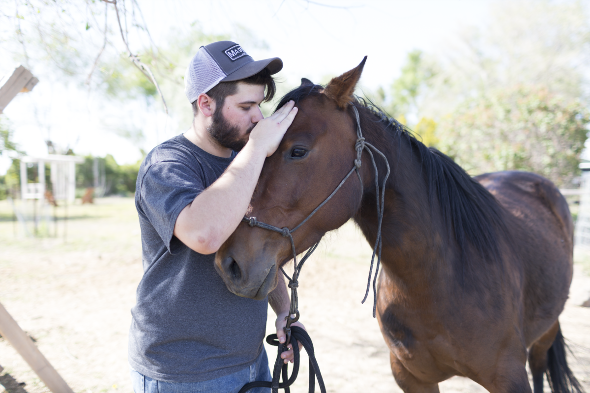 The Ultimate Guide to Equine Therapy - Embark Behavioral Health