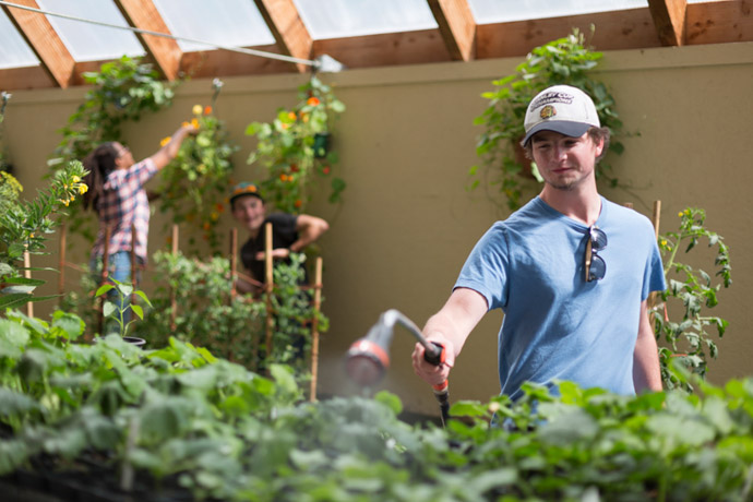 Inpatients at Emark at Dragonfly in oregon use gardening to improve mental health