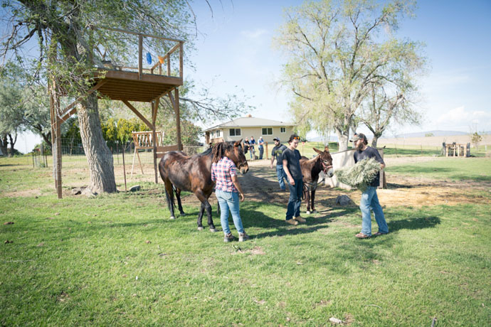 Therapist helps teens with anxiety and depression through equine therapy in Oregon.