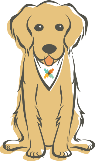 Embark_Golden_Retriever_72dpi_2