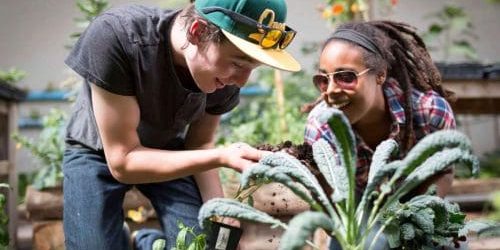 Teens planting fresh vegetables at residential treatment center in Oregon.